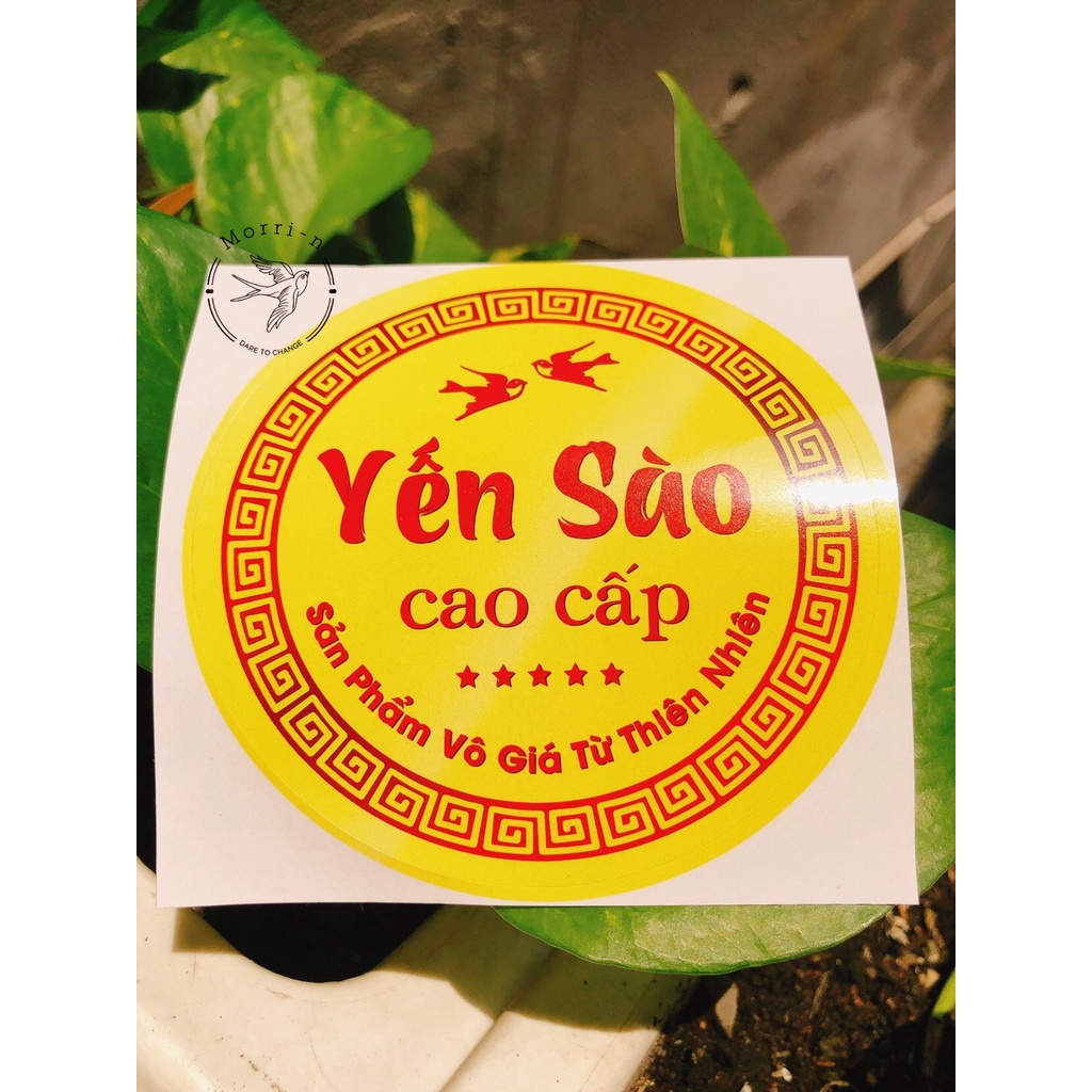 10 TEM DÁN HỘP ÉP KIM YẾN SÀO CAO CẤP 8.5CM