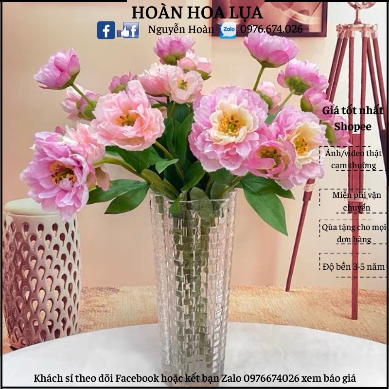 Hoa Gỉa_Hoa Lan Tường Bông Lụa Cành Cao 60cm gồm 3 Bông Nhiều Màu Sắc, Phù Hợp Cắm Bình Trang Trí Nhà Cửa