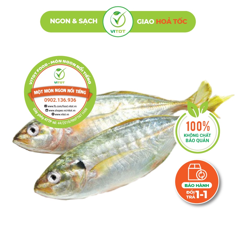 Cá Bạc Má VITOT Bổ Dưỡng Ngon Không Thể Cưỡng