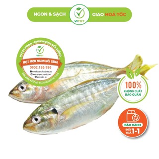 [HỎA TỐC] Cá Bạc Má VITOT Bổ Dưỡng Ngon Không Thể Cưỡng