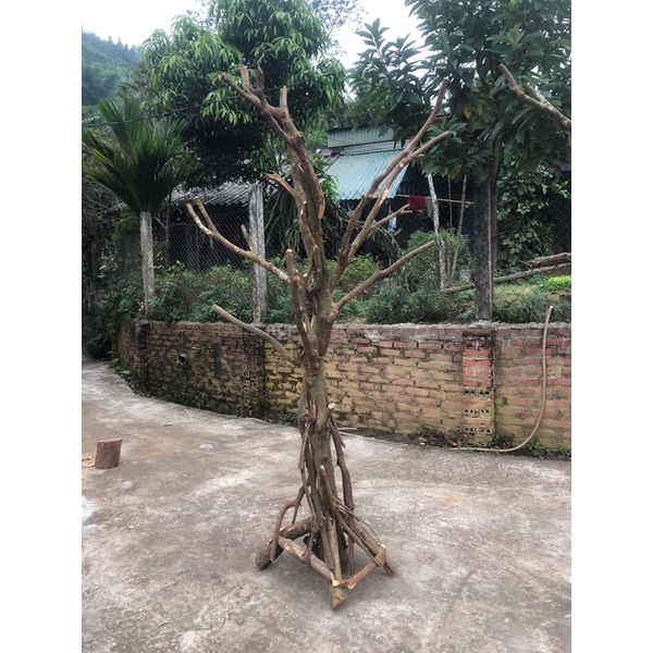 Cây Hoa giả trang trí