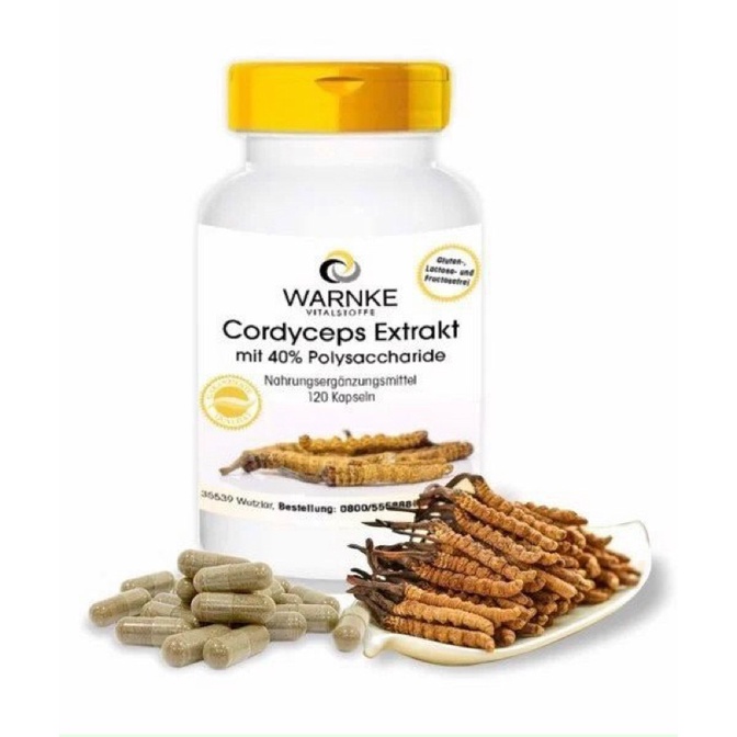 Viên uống chiết xuất Đông trùng hạ thảo hàng Đức – Warnke Cordyceps Extrakt