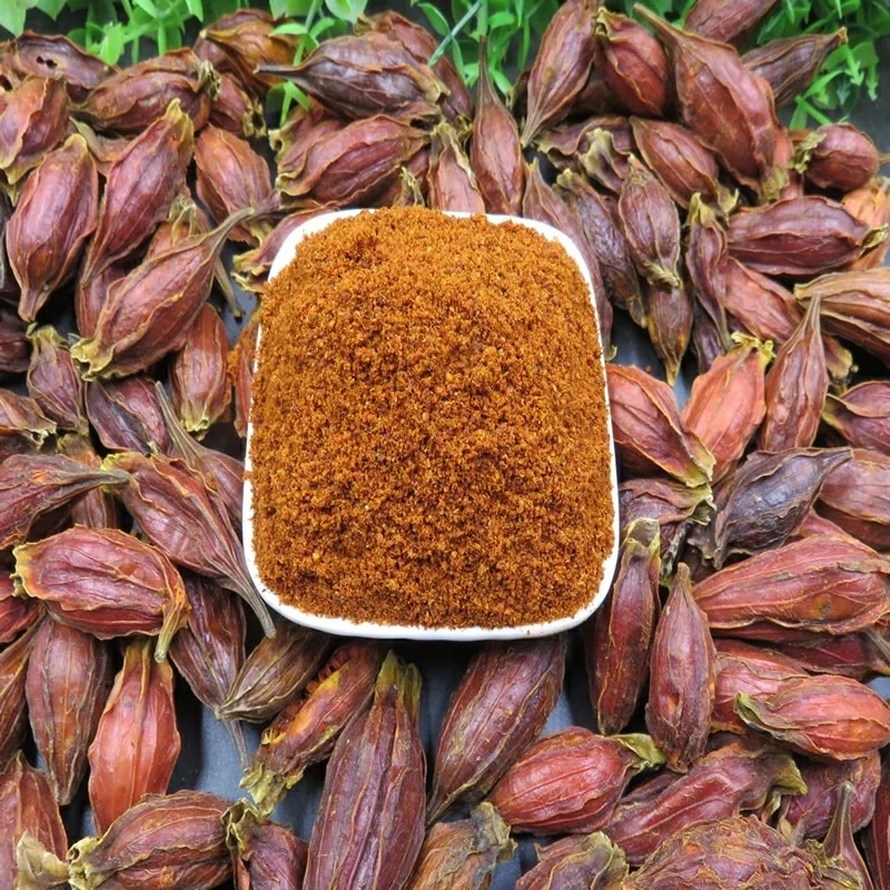 Quả dành dành sấy khô, quả to đậm màu