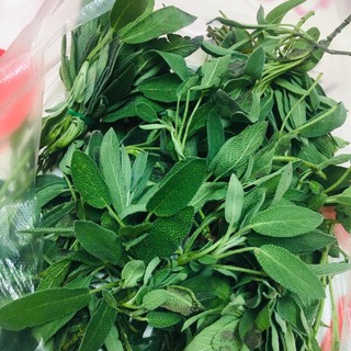 Lá tươi xô thơm sage 100g