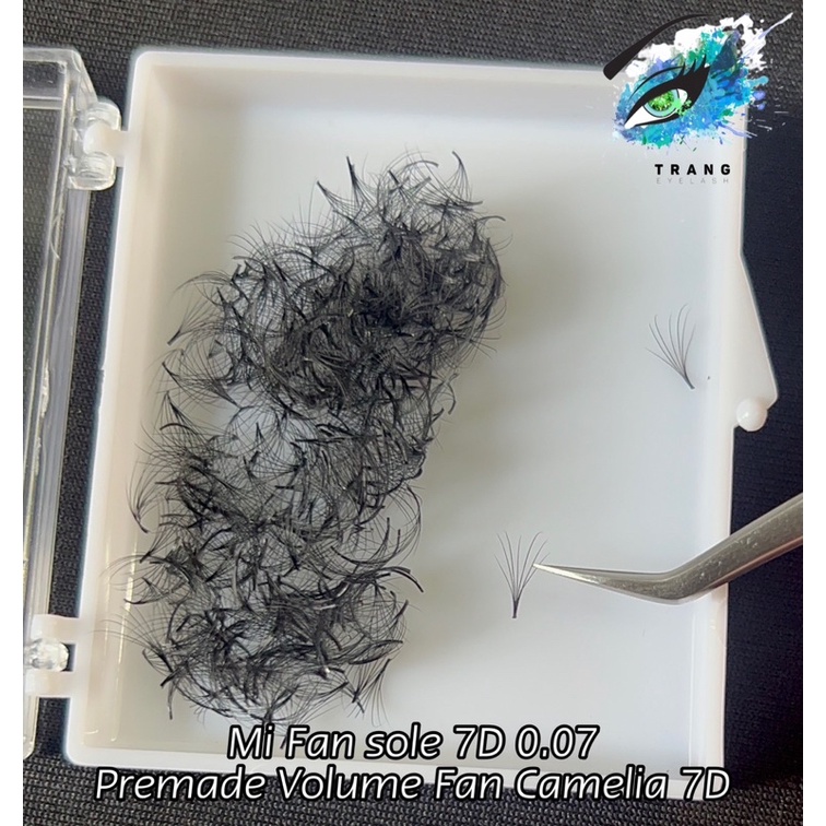 Mi Fan Sole Camelia - 6D 7D Cong Cc 0.07 Fan Tay Sẵn