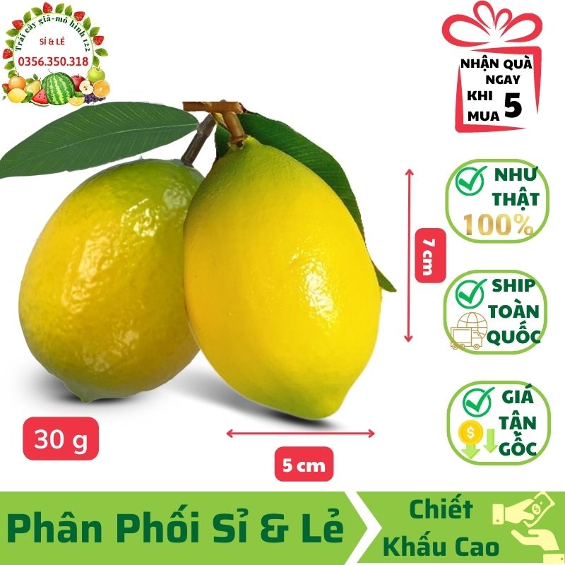 Trái Chanh Giả  mô hình Việt Nam công nghệ Thái Lan GIỐNG THẬT 99%- Dùng trang trí nhà, hàng quán decor chụp ảnh