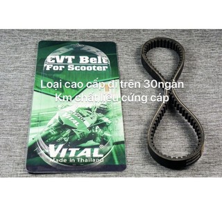 Dây curoa NOUVO 5, NOUVO SX, LUVIAS hiệu VITAL - Dây curoa VITAL chính hãng, hàng Thái Lan chất lượng cao