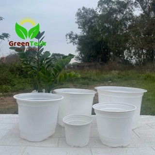 1 Chậu Nhựa Trắng Trồng Cây