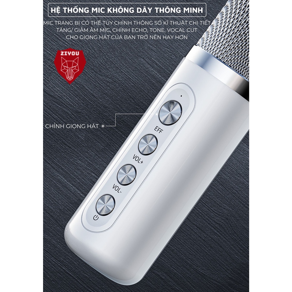 Loa Hát Karaoke Bluetooth Không Dây Ziyou 203BT Có 2 Micro, Điều Chỉnh Được Âm Thanh