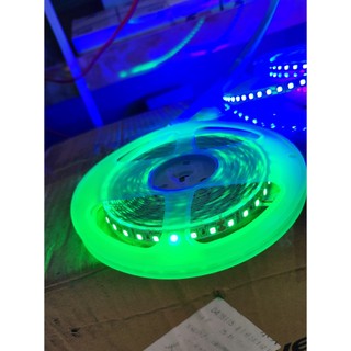 CUỘN LED DÂY DÁN 12V 2835 - 120 LED / MÉT
