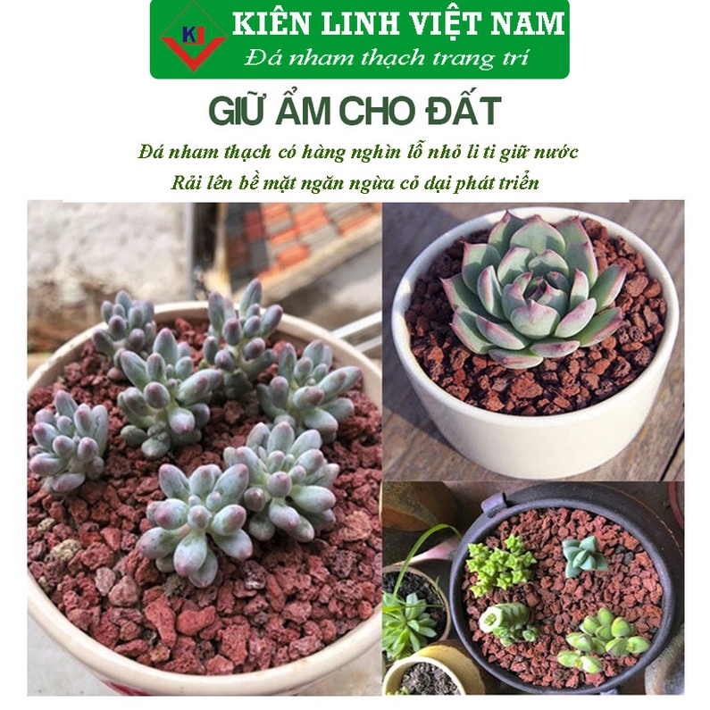 Đá Lava nham thạch rải mặt, túi 1kg, màu đỏ, dùng cho thủy sinh, bonsai, xương rồng, sen đá