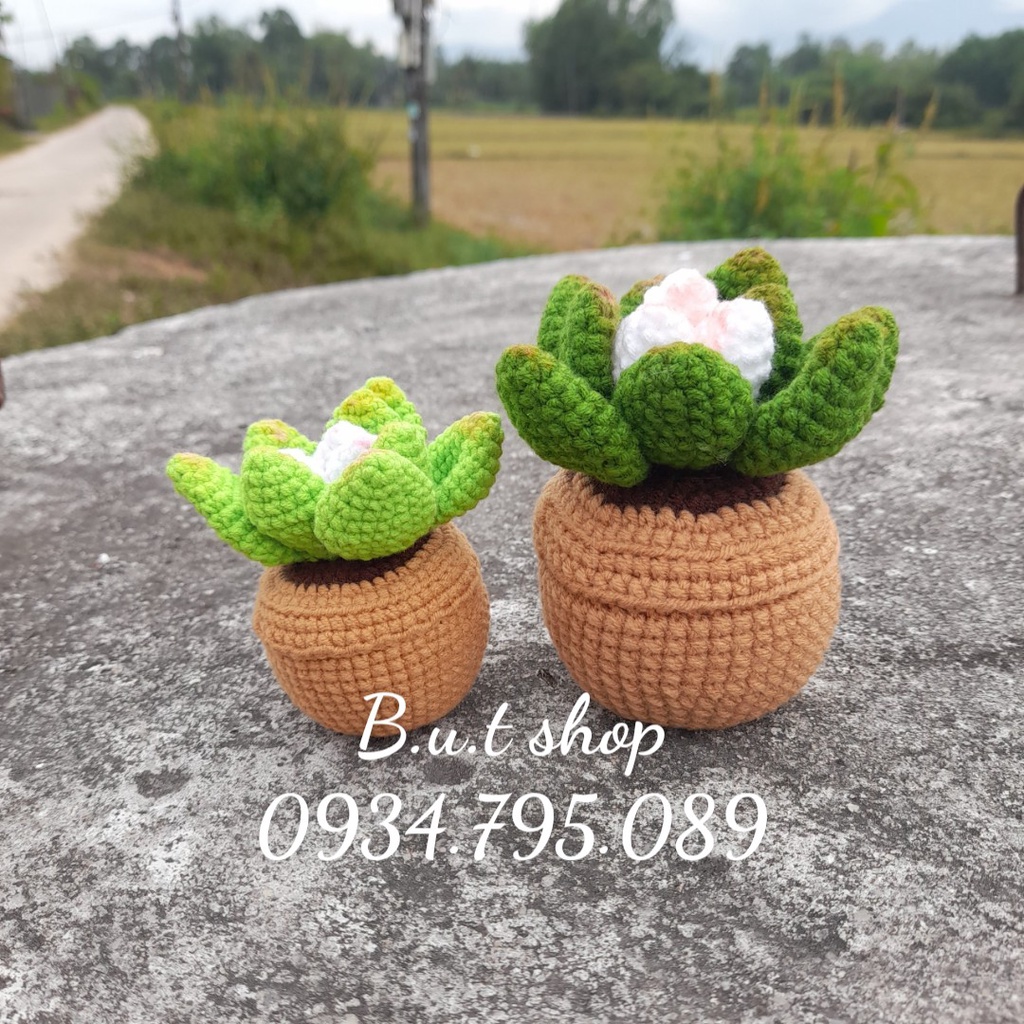 Chậu sen đá handmade mini - được làm từ len sợi