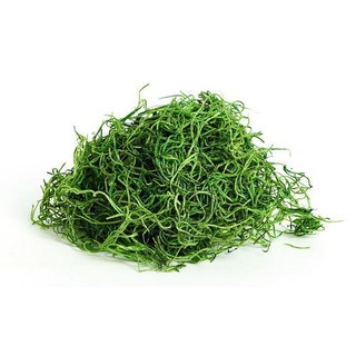 Cỏ sợi trang trí hanmade ,phủ gốc cây ,tường rêu ,bột cỏ nhân tạo