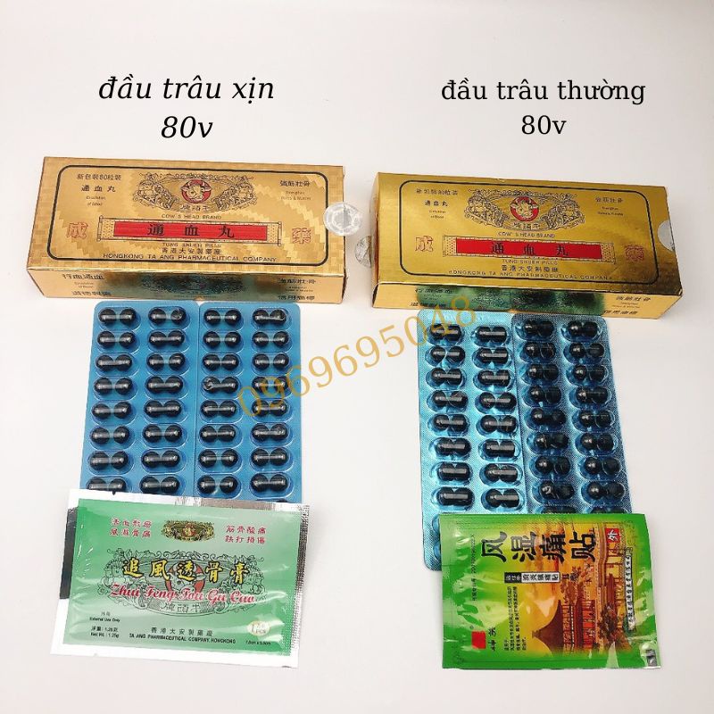 Thông Huyết Hoàn Hình Đầu Trâu có lá cao – Hỗ Trợ Xương Khớp