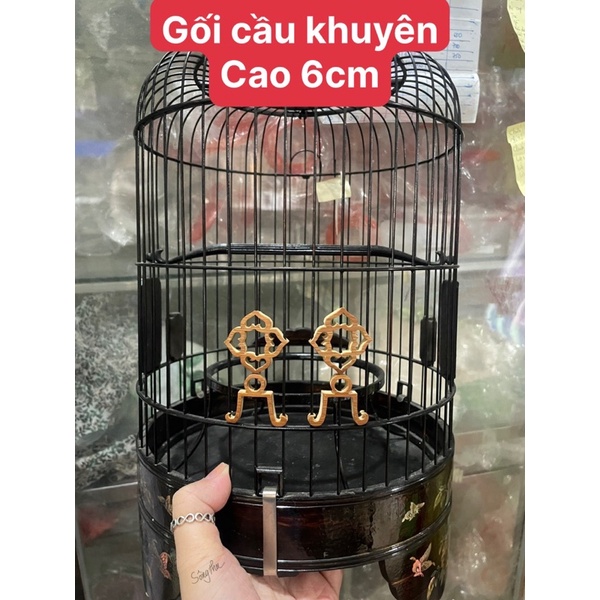 gối cầu lồng khuyên
