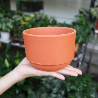 Chậu đất nung trồng sen đá xương rồng hình cái ly xinh xắn