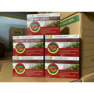 Cà gai leo xạ đen hỗ trợ giải độc gan, làm mát gan hộp 60v