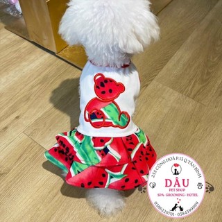 Đầm thun dưa hấu