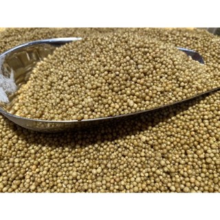 Gạo kiều mạch -1kg