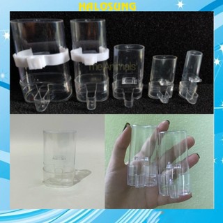 Cóng chim chào mào Halosung cóng chim khuyên Phụ kiện lồng chim PK40