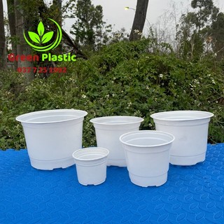 1 Chậu Nhựa Trắng Trồng Cây