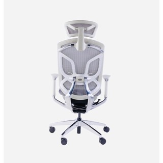 Ghế công thái học cao cấp Dvary Butterfly (GTchair ) hàng chính hãnh phân phối Việt Nam bảo hành 12 năm - VNPTECH