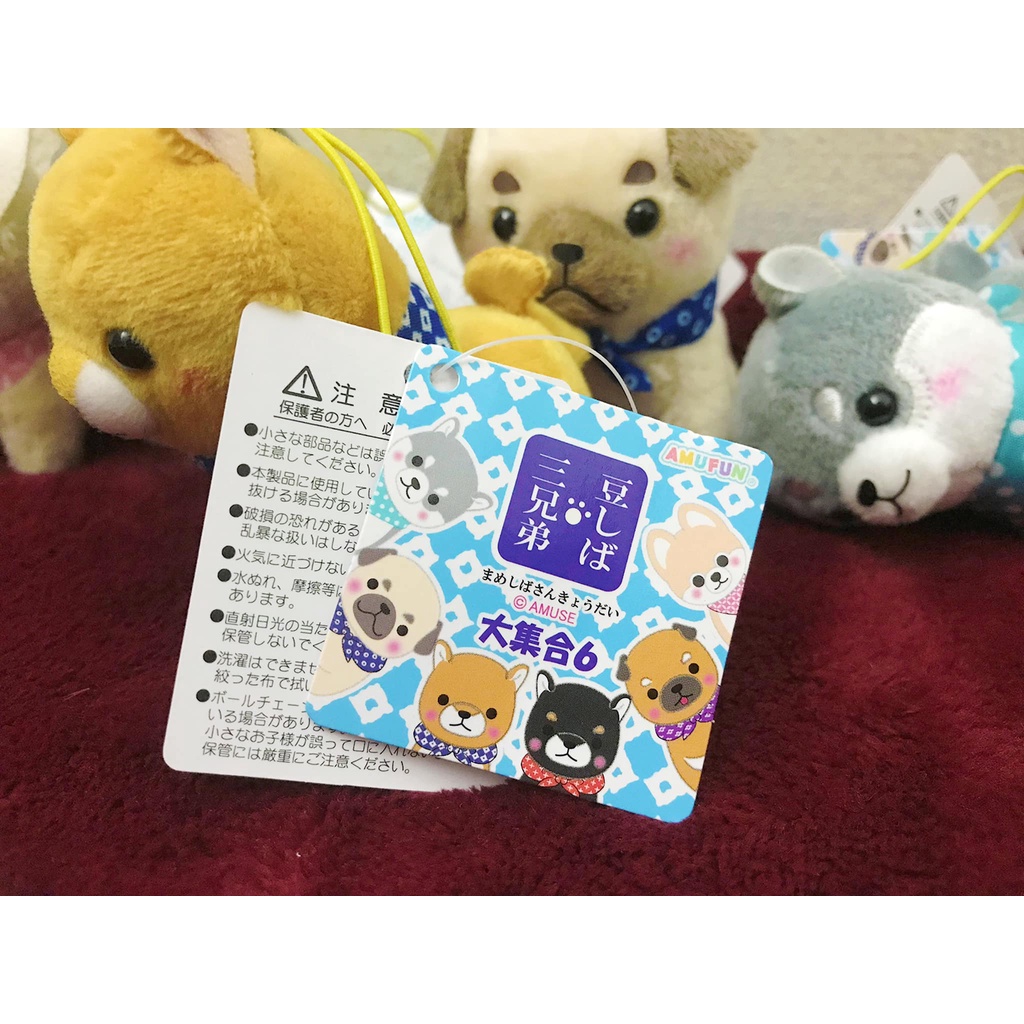 AMUSE - Full set Bộ 6 em móc khóa Mameshiba Brothers