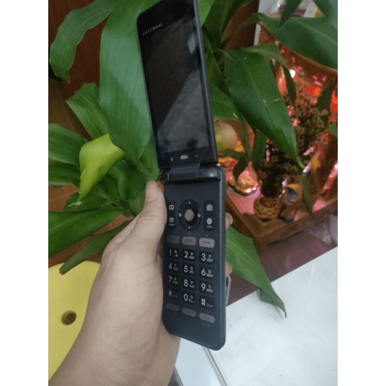 Điện thoại Kyocera Gratina 4G KYF31