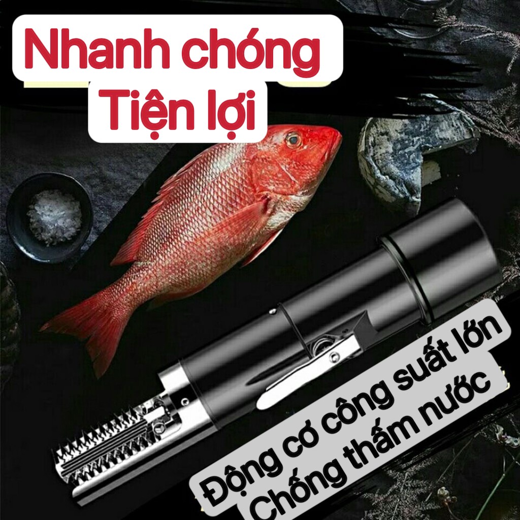 Pin máy đánh vảy cá cầm tay,phụ kiện máy cạo vảy dùng pin hoặc dùng điện mẫu mới nhất -chính hãng