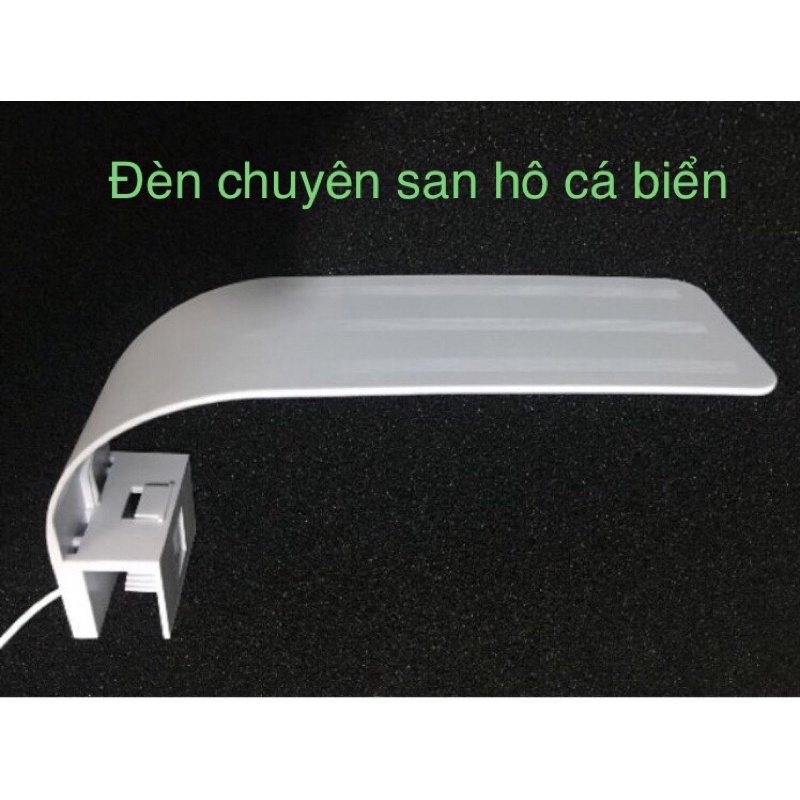 Đèn bể cá biển