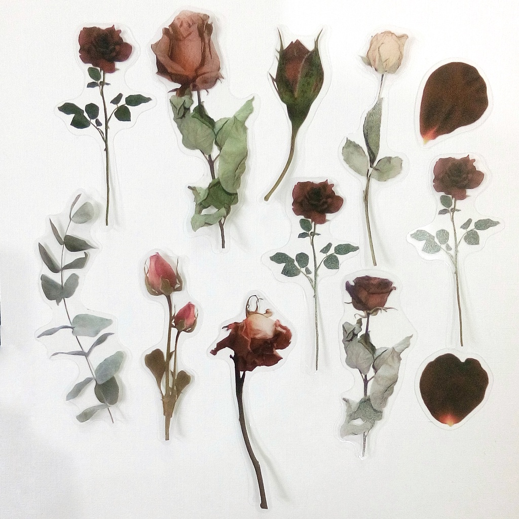 Sticker PET họa tiết hoa lá, nhãn dán vintage chất liệu nhựa trong