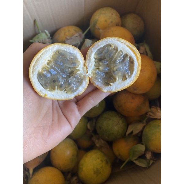Chanh dây Colombia - Chanh dây vàng ngọt hương ổi -1kg