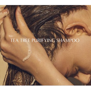 Dầu gội kiềm dầu AROMATICA TEA TREE PURIFYING SHAMPOO