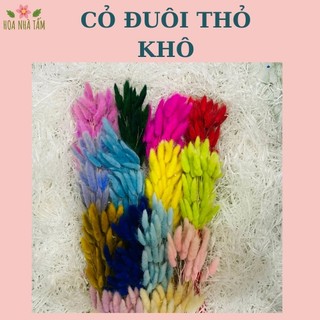 Cỏ đuôi thỏ khô 3 hoặc 10 cành trang trí thiệp, decor Tết - decor, handmade Hoa Nhà Tấm