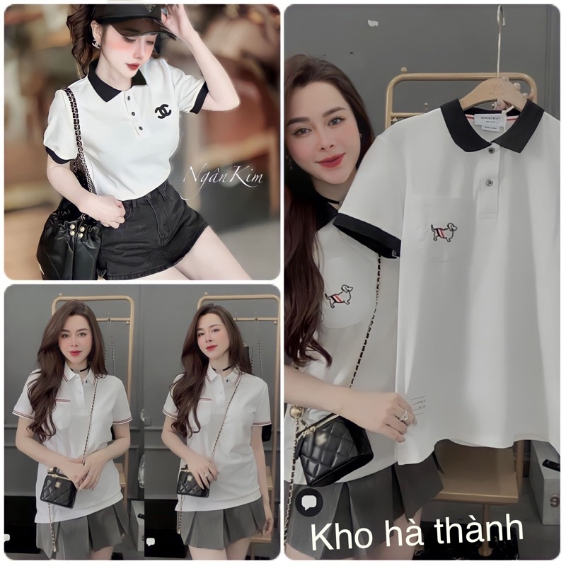 Áo polo nữ trắng phối chất vải poly cá sấu, áo thun cổ bẻ cho nữ | BigBuy360 - bigbuy360.vn