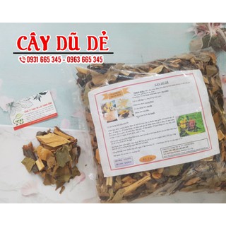 Cây Dũ Dẻ Rừng 100gr - Dạng Khô - Hàng Công Ty - Thảo Dược Uy Tín