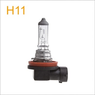 Bóng đèn halogen h11 55w 12v bóng đèn cos , đèn gầm chất lượng cao