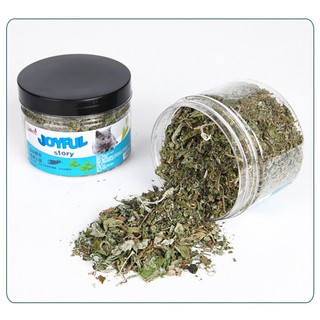 Cỏ Bạc Hà Catnip Cho Mèo