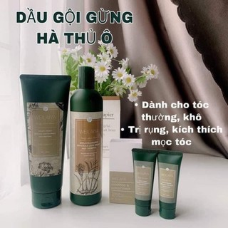 Set mini dầu gội gừng WEILAIYA