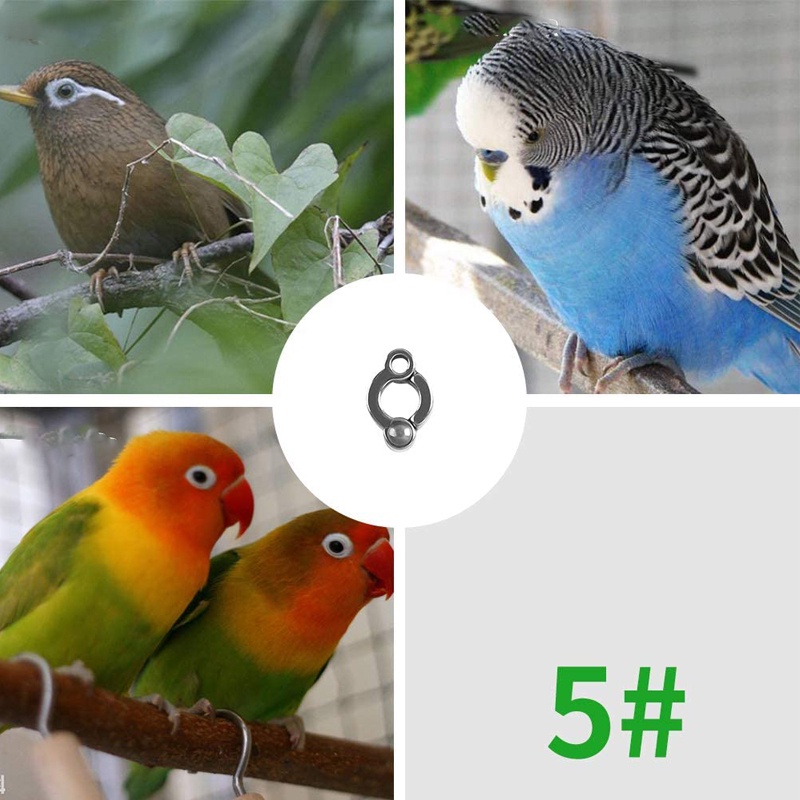 5mm Nhẫn đeo chân vẹt có số,Vòng đeo chân chim nhôm đóng mở và dễ dàng thao tác