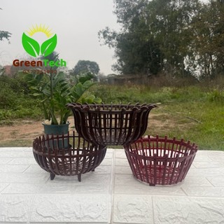 10 Chậu Lan Nhiều Loại F30 - 35