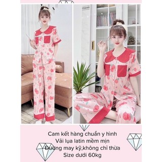 Bộ Đồ pyjama Tay Ngắn Quần Dài lụa latin dễ thương