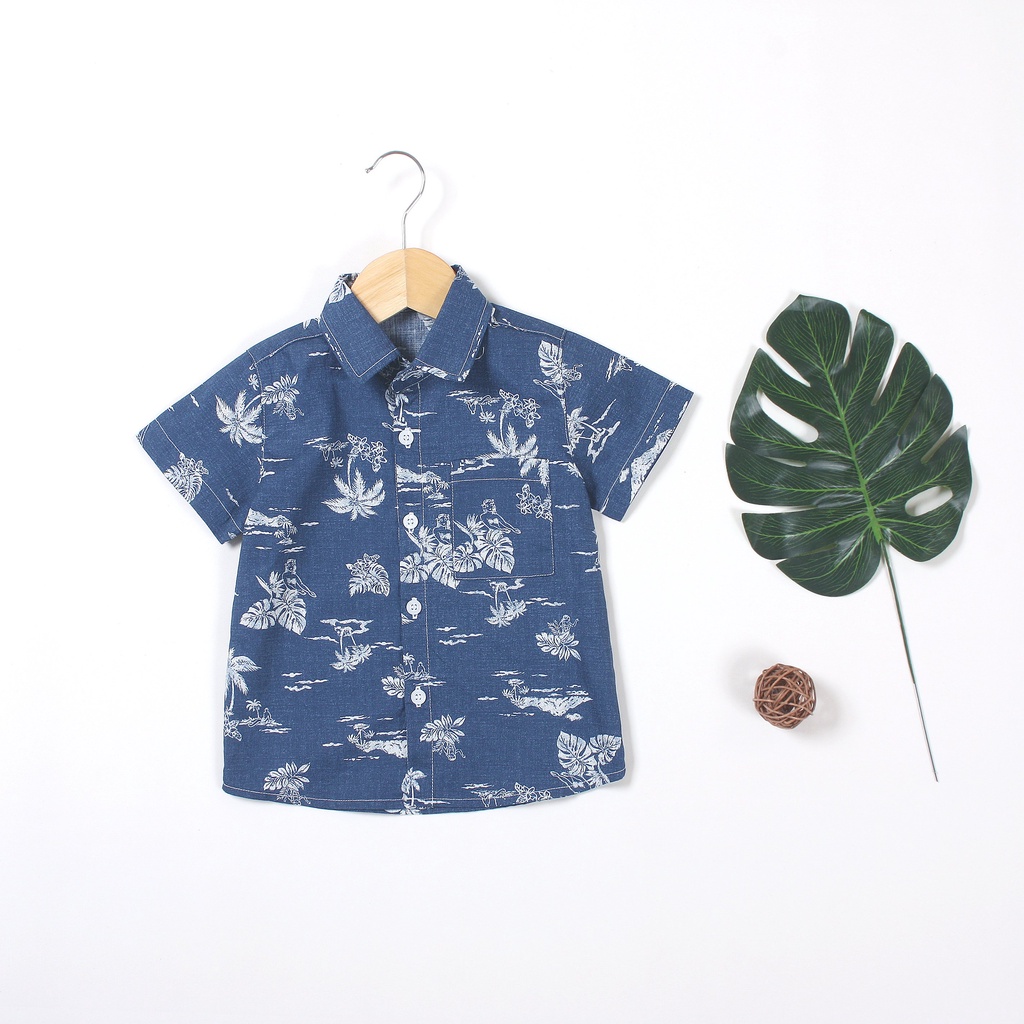 2302.3SO MI BT LINEN HT BIEN