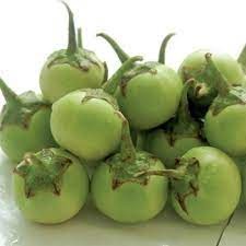 Hạt giống cà pháo xanh gói 50 hạt