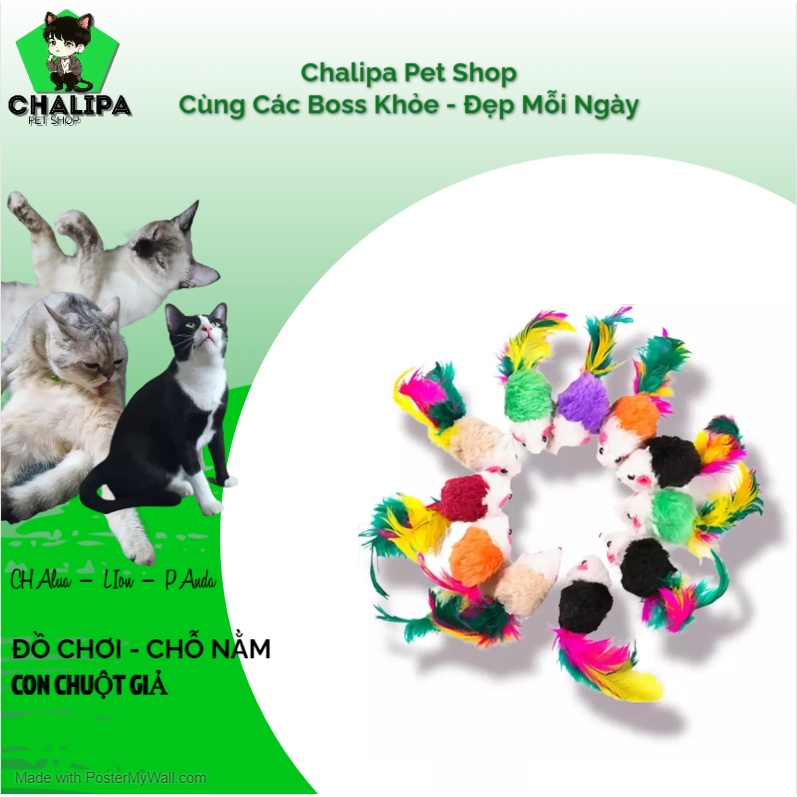 Đồ Chơi Cho Mèo Hình Chuột