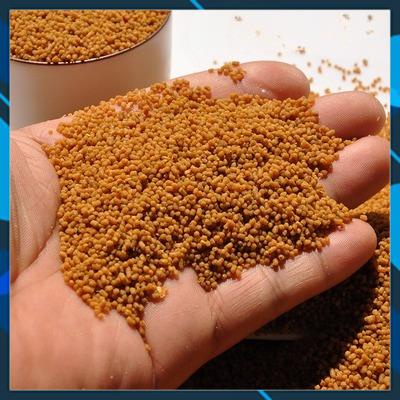 Cám Chim Khuyên, Cám Số 12 Dành Cho Chim Mộc, chim Bổi Hàng Nhập Khẩu Trung Quốc, Đạt Phi - Gói 500 gram