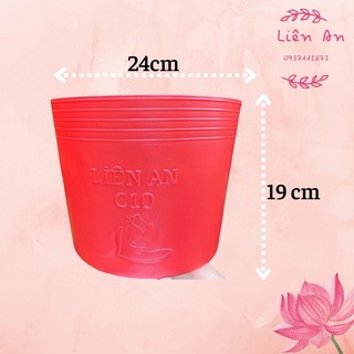 Chậu nhựa trồng cây liên an