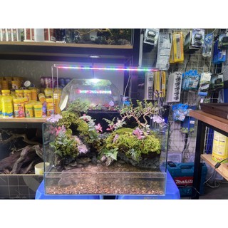 ĐÈN LED COCO WRGB UR800, R900