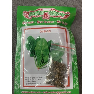 [DEAL 1K] 100 Hạt Giống Rau Cải Bó Xôi (Rau Bina, Rau Chân Vịt) Chịu Nhiệt, Dễ Trồng [FREESHIP XTRA]