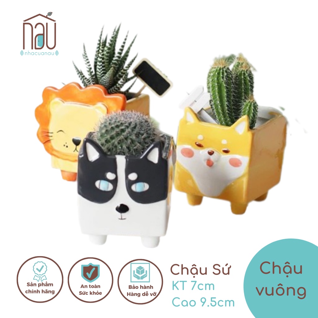 Chậu thú trồng sen đá xương rồng, tiểu cảnh, làm ống đựng bút